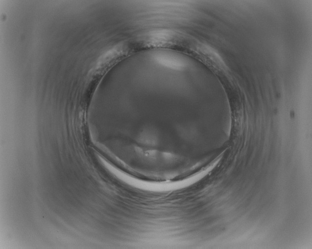 X0000066510503200603201302
