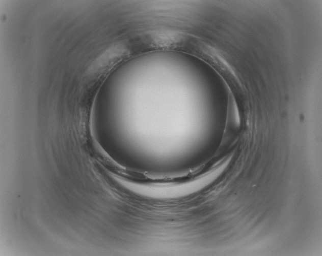 X0000066510505200603201302
