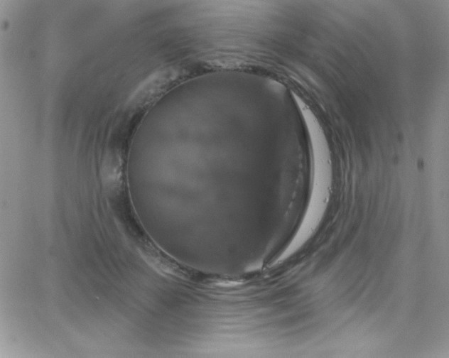 X0000066510507200603201302
