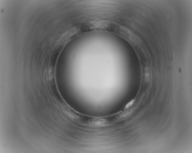 X0000066510514200603201301