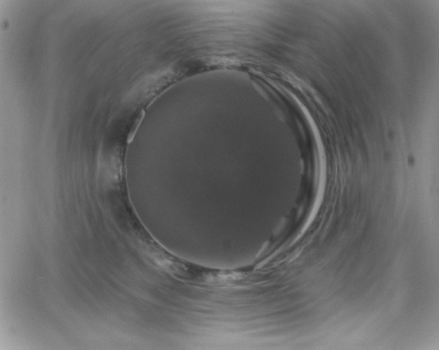 X0000066510517200603201301