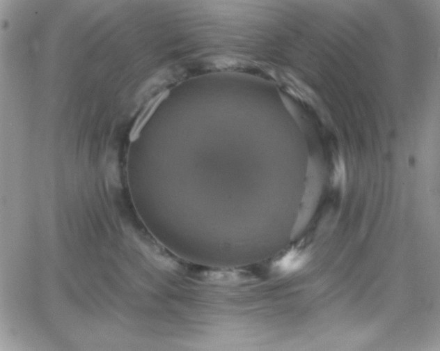 X0000066510524200603201301
