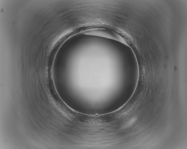 X0000066510535200603201301
