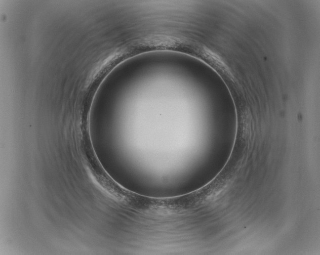 X0000066510538200603201301