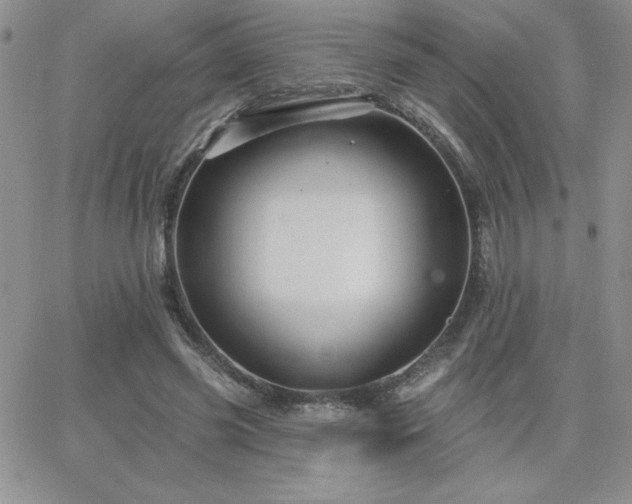 X0000066510541200603201301