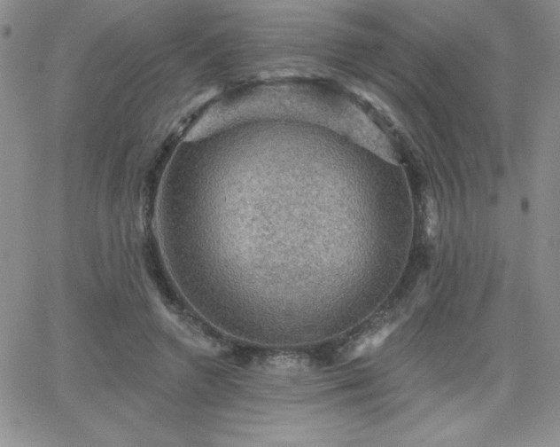 X0000066510546200603201301