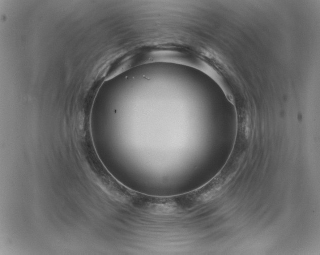 X0000066510548200603201301