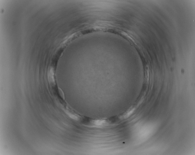 X0000066510575200603201301