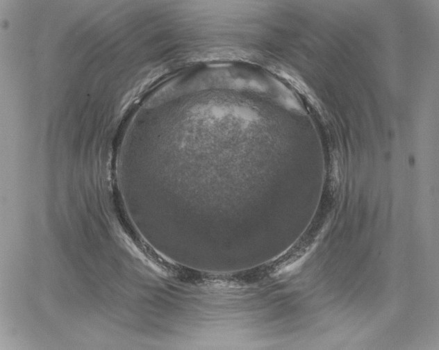 X0000066510585200603201300