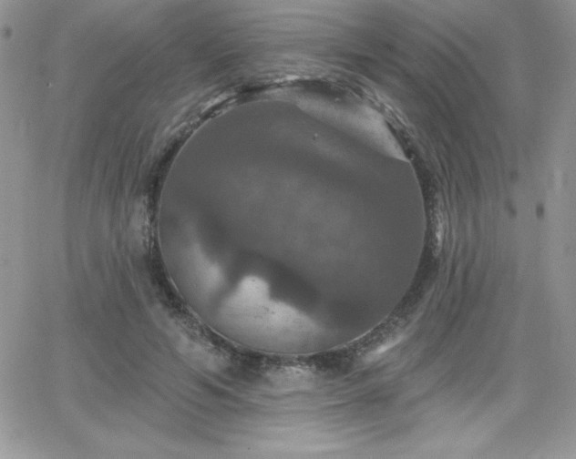 X0000066510594200603201300