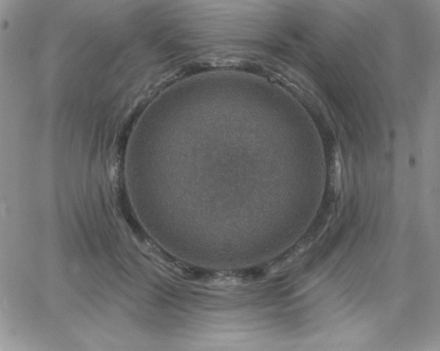 X0000066510604200603201300