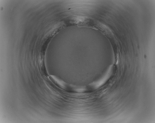 X0000066510607200603201300
