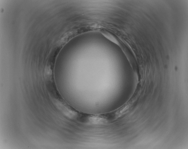 X0000066510614200603201300