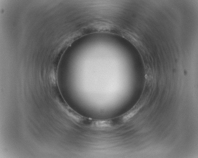 X0000066510622200603201300