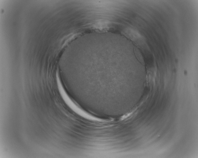 X0000066510623200603201300