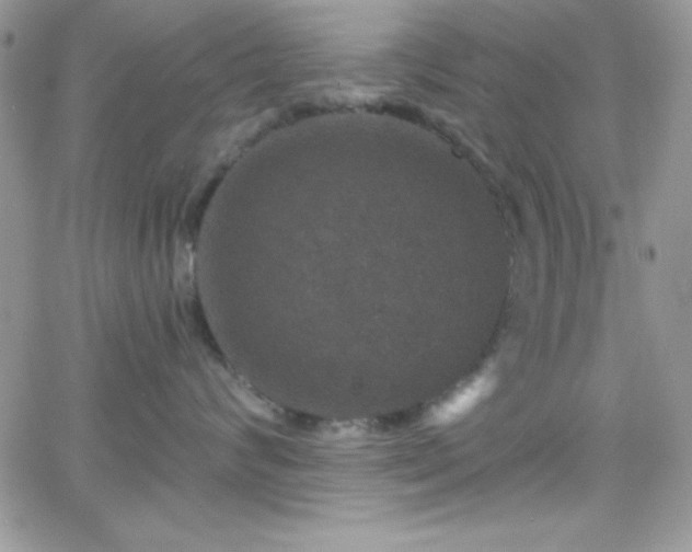 X0000066510624200603201300