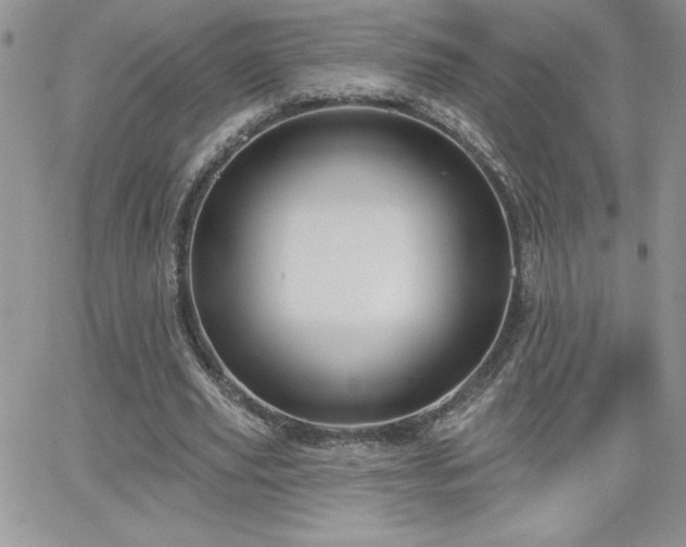X0000066510629200603201259
