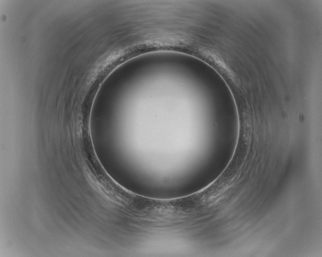 X0000066510631200603201259