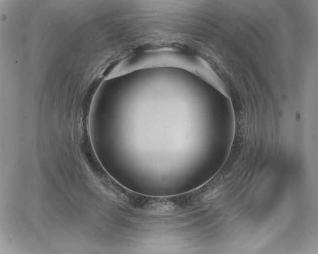 X0000066510642200603201259