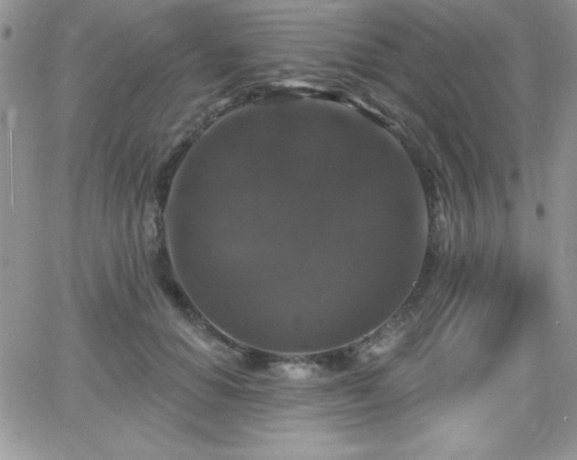 X0000066510654200603201259