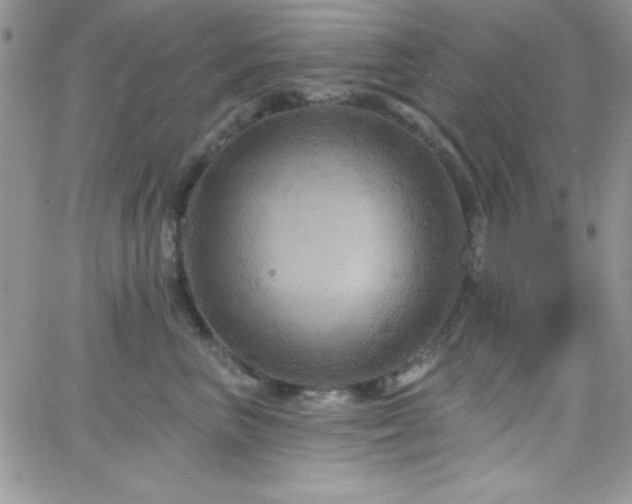 X0000066510667200603201300