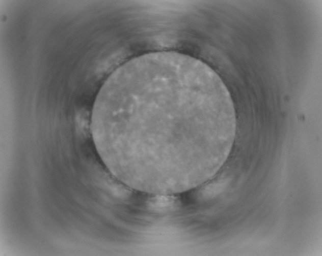 X0000066510672200603201300