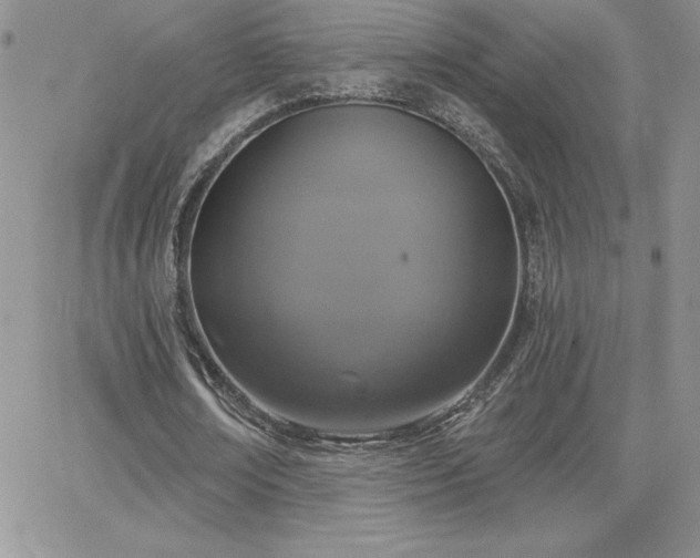 X0000066510674200603201259