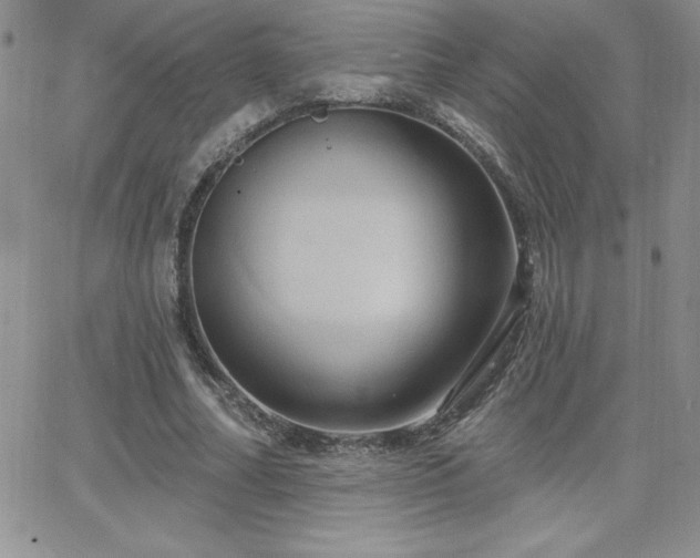 X0000066510682200603201259