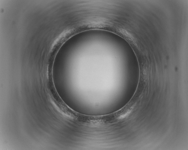 X0000066510686200603201259
