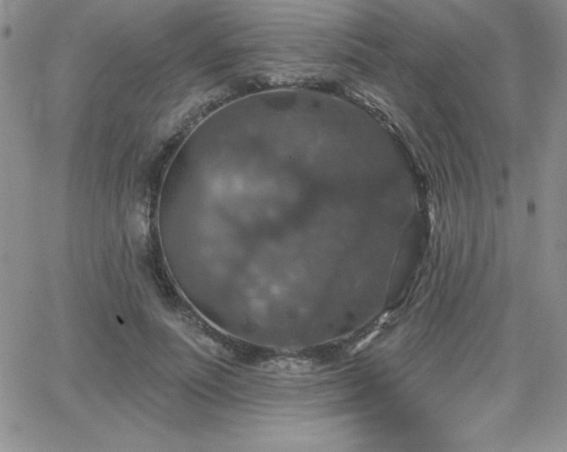 X0000066510691200603201259