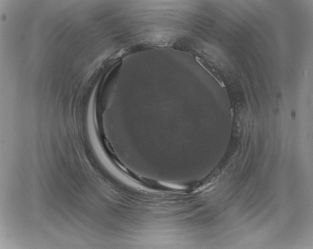 X0000066510693200603201259