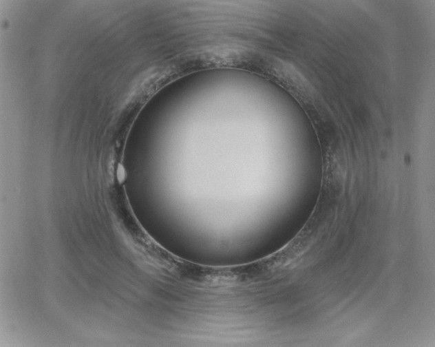 X0000066510694200603201259