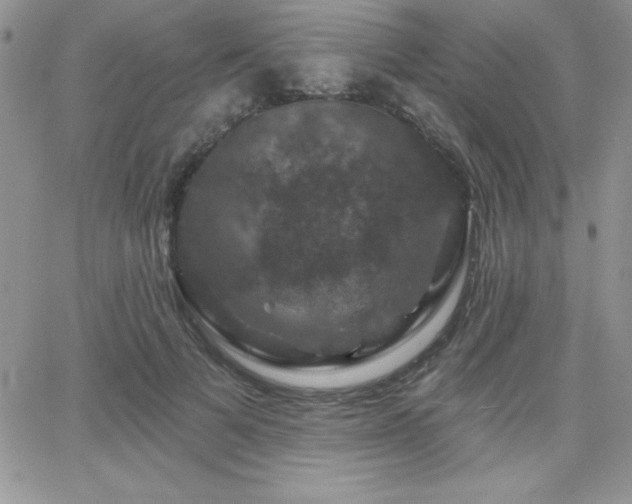 X0000066510697200603201258
