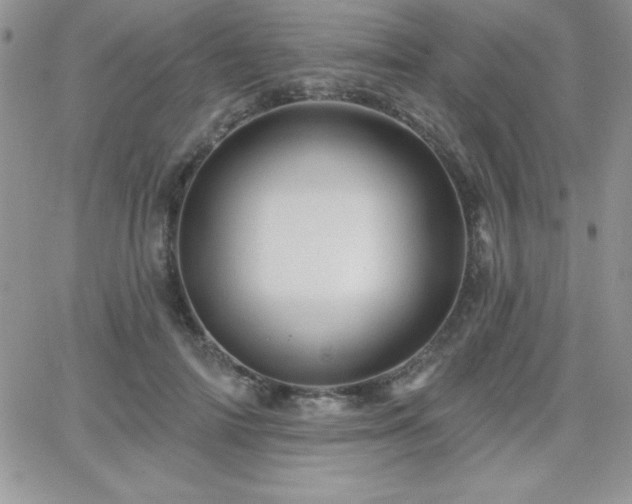 X0000066510698200603201258