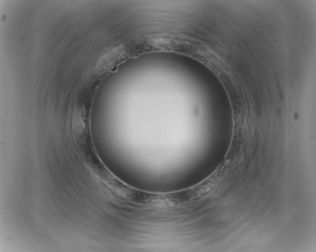 X0000066510702200603201258
