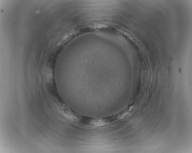 X0000066510704200603201258
