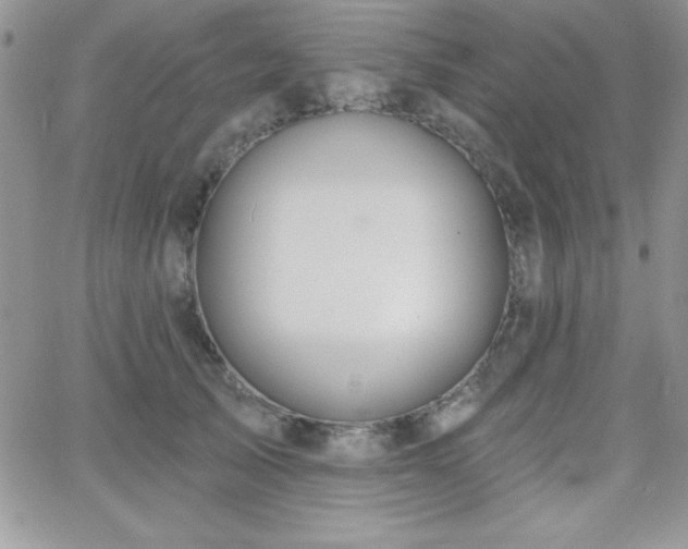 X0000066510705200603201258