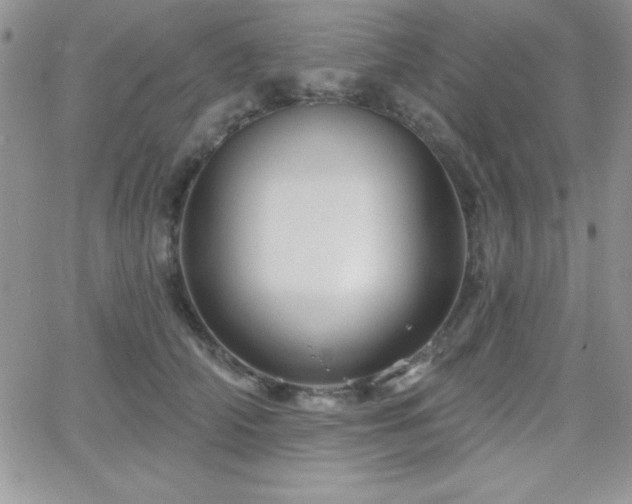 X0000066510706200603201258