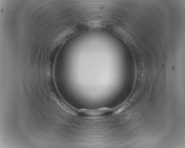 X0000066510710200603201258