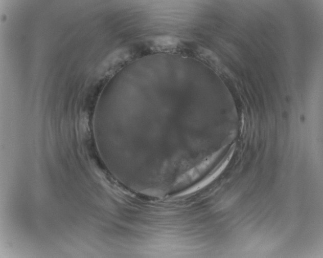X0000066510711200603201258