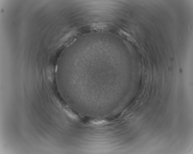 X0000066510712200603201258