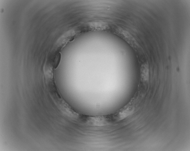 X0000066510713200603201258