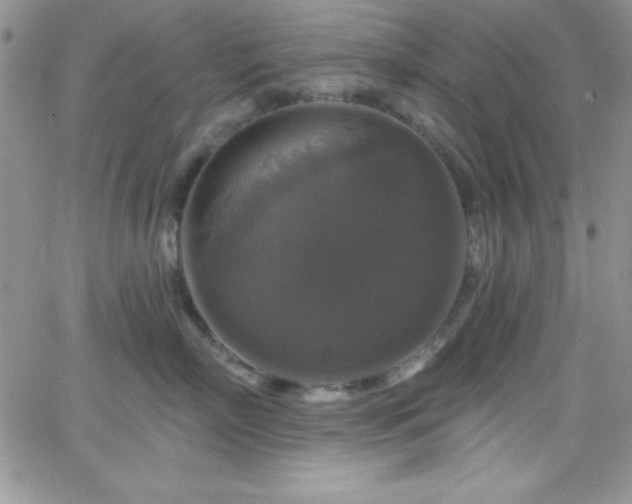 X0000066510718200603201258