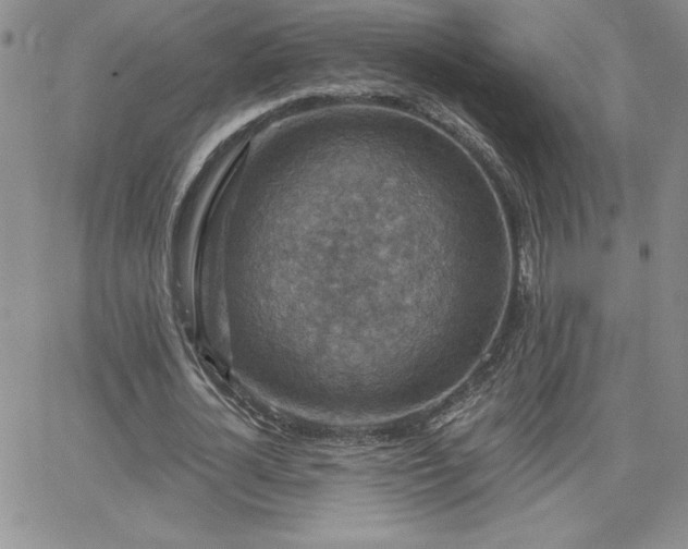 X0000066510724200603201257