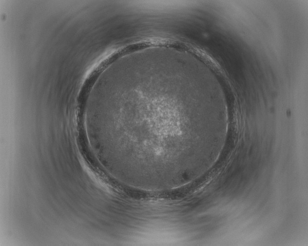 X0000066510730200603201257