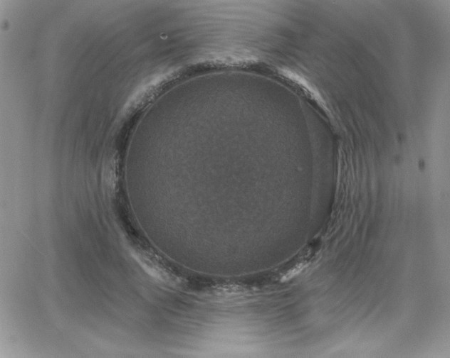 X0000066510736200603201258