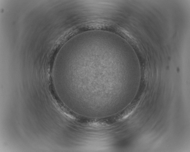 X0000066510737200603201258