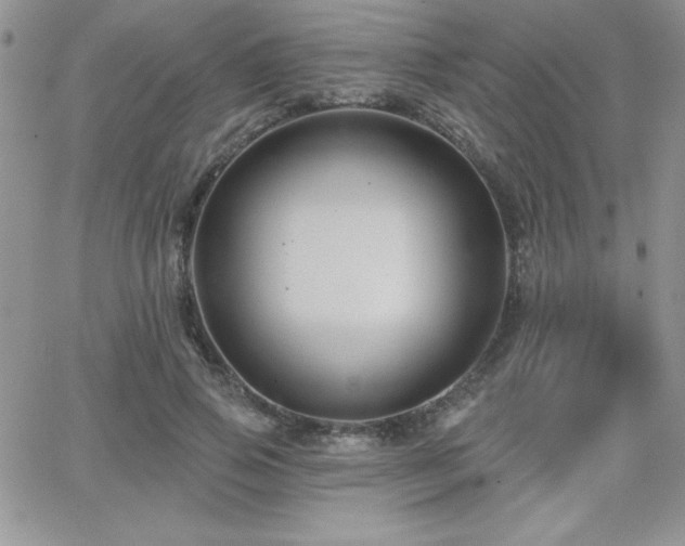 X0000066510741200603201258