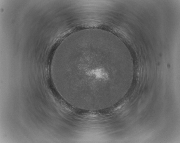 X0000066510743200603201258