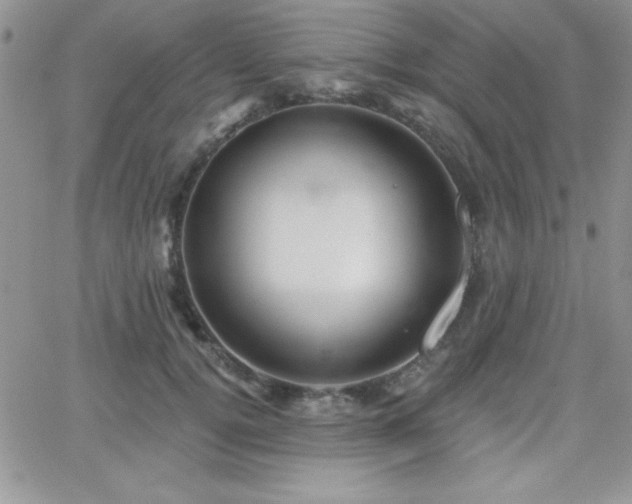 X0000066510752200603201258